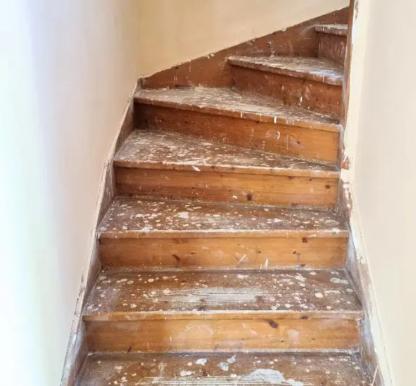 Habillage d'escalier en bois - avant