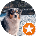Ludo C. profile picture